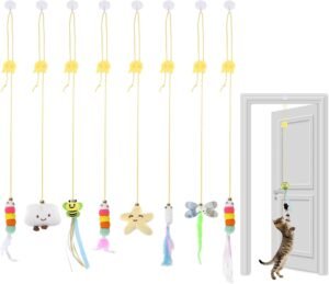 Door Attached Teasing Toy (1)