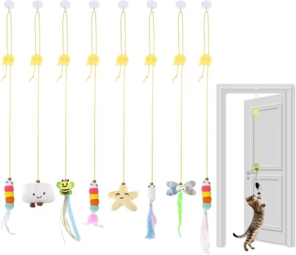 Door Attached Teasing Toy (1)
