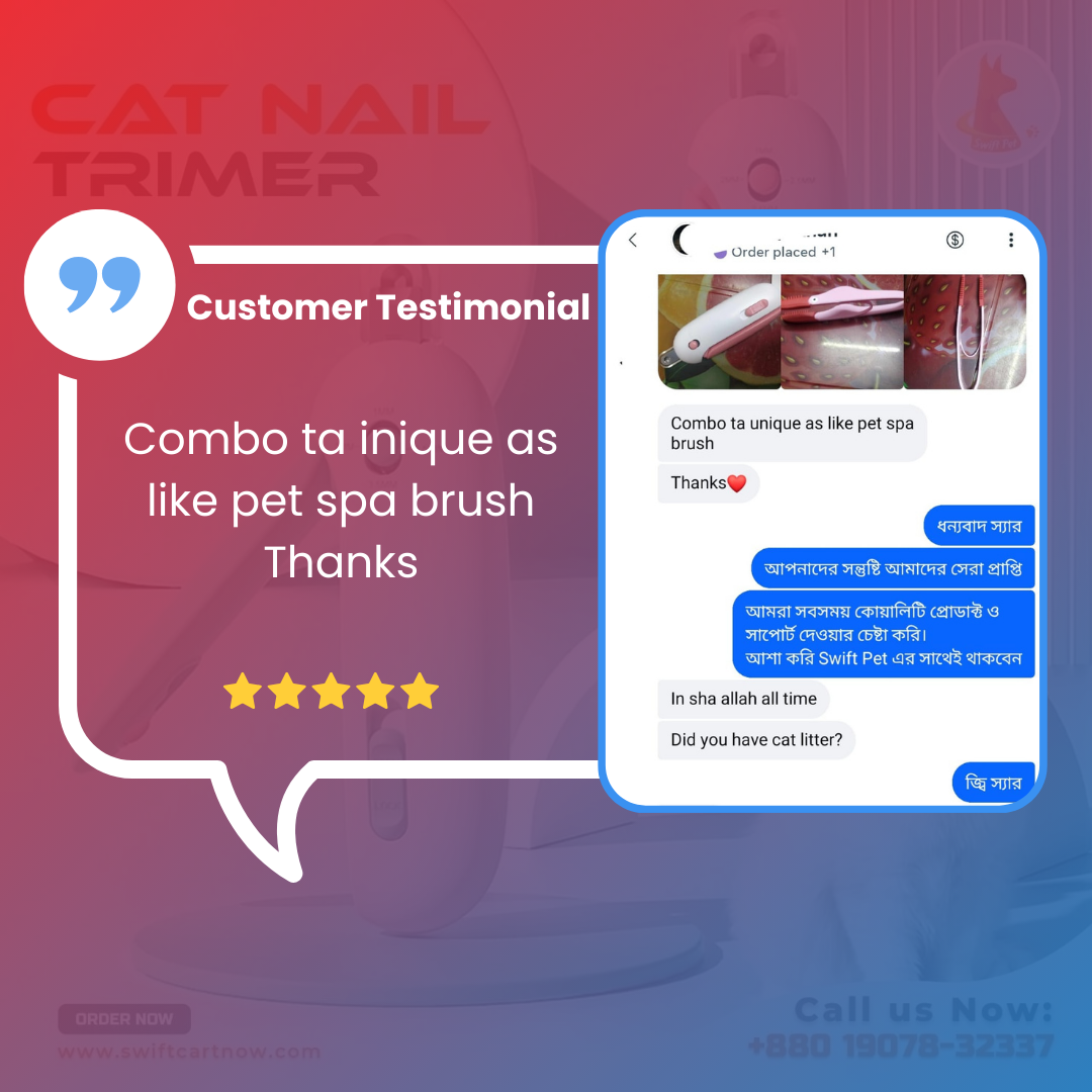 Swift Pet Review (4)