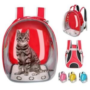 Transparent Cartoon Carry Bag (1)