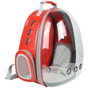 Transparent Cartoon Carry Bag (1)