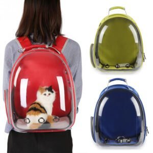 Transparent Cartoon Carry Bag (2)